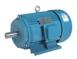 Y Series 3-Phase Induction Motor