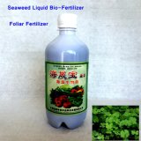 Seaweed Microbial Foliar Fertilizer Bio Fertilizer