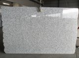 Cheap Big Flower White Pearl Stone Granite for Worktops