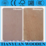 Okoume/Bintangor/Oak/Teak/Birch Commercial Plywood