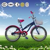 Princess 20 Inch Girls Bike with Front Basket