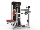 Seated Row Machine/Rowing Gym Machine