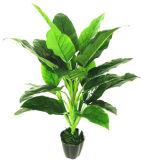 Eco-Friendly Artificial Plant/Artificial Fartificial Artificial Tree Branches and Leaves 533