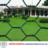 Anping Supplier Garden Hexagonal Wire Netting (ISO9001)
