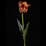 PU Tulip Flower for Decoration