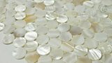 Mother of Pearl Mosaic/Round Shell Mosaic/Wall Decoration