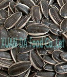 Round Type Sunflower Seeds 5135 22/64