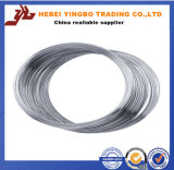 3.0 mm Galvanized Steel/Iron Wire Manufacturer/Gi Wire