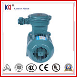 High Quality Explosion-Proof Electric Motor