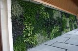 Artificial Plants and Flowers of Vertical Wall Gu-Mx-Green-Wall004