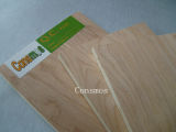 Ordinary Plywood for Construction Use