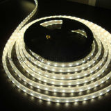 LED Strip Lights (LS-S5030)