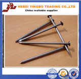 Us$500-800 Furniture Hardware Tool of Common Nails