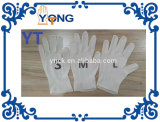 Disposable Glove Latex Glove Powder Free Latex Exam Gloves