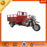 New Cargo Trike/Motorized Tricycle Design
