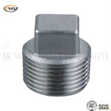 Stainless Steel Plug for Pipe Fitting (HY-J-C-0284)