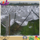Protection Net/Anti Hail Net with Plastic Fabric Netting