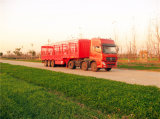3axles Highway Cargo Vehicle Semi Trailer