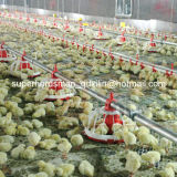 Full Set Automatic Poultry Control Shed Equipment for Broiler