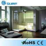 New Arrival and Hot Luxurious Shower Sauna Conbination Room - (SF1F002)