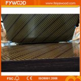 Film Faced Plywood in Wood Plywood (FYJ1608)