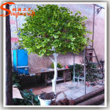 Garden Decoration Plastic Artificial Plant Tree