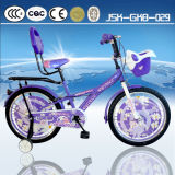 20 Inch High Quality Beautiful City Girl Bike with Side Stand