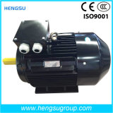 Ye2-355L2-8 Cast Iron Three Phase Electrical and Indution Motor