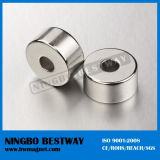 Ring Shaped Magnet for PMDC Motor