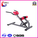 Extension Sports Fitness Equipment (LK-9039)