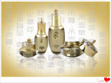 High Quality Cosmetic of St Yanfong