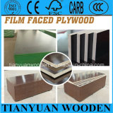 Construction Concrete Formwork Plywood/Waterproof Shuttering Plywood for Formwork