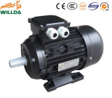Electric Motor for Pump