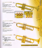 Trumpet EVA Seriece
