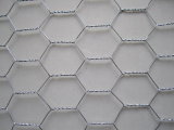 Galvanized Hexagonal Wire Netting 25mm - 50mm Hole for Garden