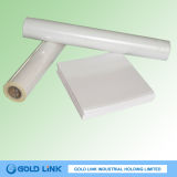 Cast Coated Paper for Printing