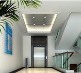 Glass Home Elevator in China Manufacturer
