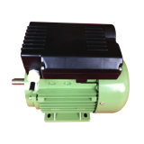 2013 High Quality Electric Motor