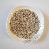 Sunflower Seed Kernels