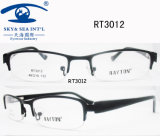 Brief Style Rayton Brand Metal Optical Frames Eyewear (RT3012)