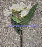 Real Touch PU Artificial Frangipani Flowers