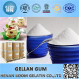 Hot Sale Food Grade Bp Low/High Acyl Gellan Gum Powder