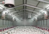 Modular Steel Frame Poultry House for Sale
