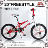 Fat Tire 140h Spoke BMX Freestyle Bicycle (ABS-2053S)