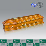 Luxes European Style Coffin Bed Colourful Coffins