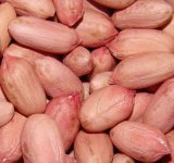 China Good Quality Peanut Kernel with Red Skin for Wholesale