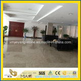 Persia Gray / Persian Gray Marble for Hotel Flooring