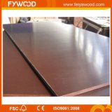 Film Faced Plywood in Wood Plywood (FYJ1583)