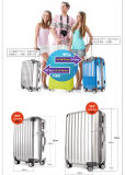 New Style Travel Luggage with Aluminium Trolley