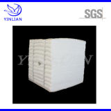 Heat Insulation Ceramic Fiber Module/Thermal Insulation Material